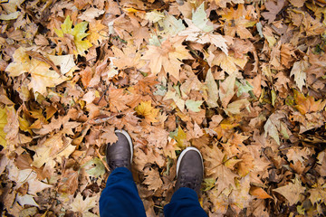 Young Man Stand In The Leaves