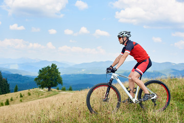 Naklejka na ściany i meble Professional sportsman cyclist in sportswear and helmet riding a bike in high grass with big green tree and beautiful Carpathian mountains view in distance. Active lifestyle and extreme sport concept.