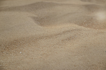 sand texture - background
