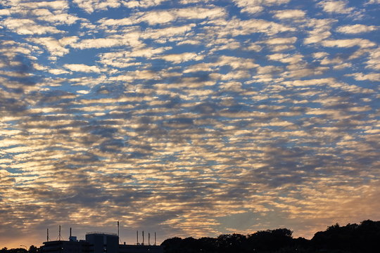 256 Best 羊雲 Images Stock Photos Vectors Adobe Stock