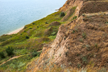 high coast by the sea, beautiful landscape, wild grass and trees, summer travel concept