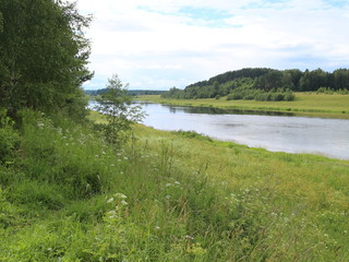 Fototapeta na wymiar View of the summer river through the trees