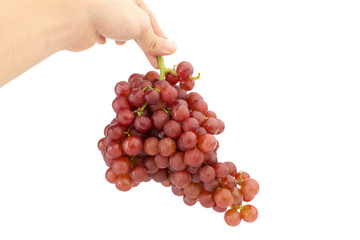 hand hold grapes seedless red isolated on white background