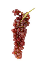 grapes seedless red with water drop isolated on white background