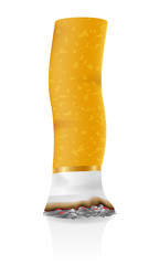 extinguished cigarette residue stock vector illustration