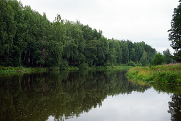 River and forest