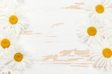 Garden chamomile flowers on wooden background