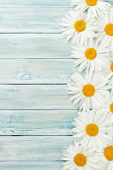 Obraz premium Garden chamomile flowers on wooden background