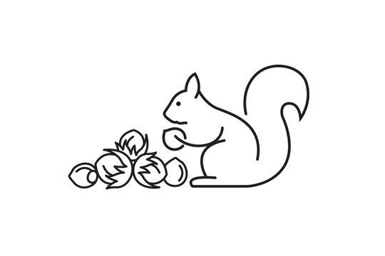 black icon of squirrel with nuts on white background