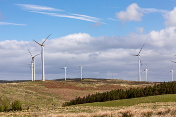 A Wind Farm
