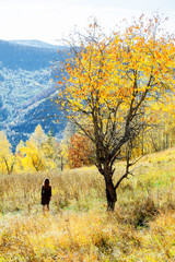 girl colorful autumn forest high mountains carpathians landscape enjoy view perspective sunglasses brown dress sunlight yellow sky blue