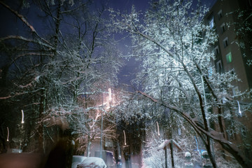 mysterious winter garden at night