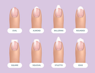 Set of simple realistic natural manicured nails with different shapes. Vector illustration for your graphic design.