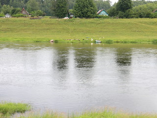 picturesque banks of the river in the summer evening