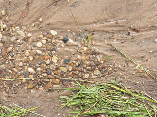 creek along the road after the rain
