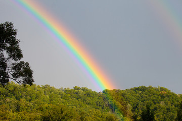 Beautiful Rainbow over Trees