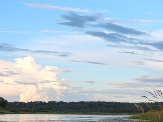 fishing in the river on a summer day