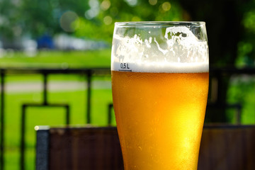 Beer in a glass glass glass, bubbles rise. On the background of green foliage glass with Golden drops.