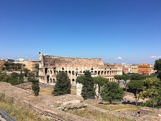 Fototapeta na wymiar Colosseum in Rome, Italy, viewed from Palatine Hill