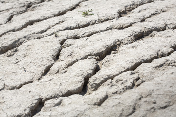 Ausgetrocknete Erde, Wassermangel © Harald Biebel