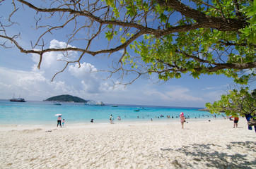 beautiful beach in similan island, andaman thailand,