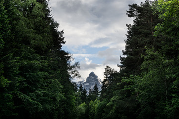 Mountain in the Forest