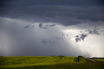 Naklejka na ściany i meble Prairie Storm Clouds