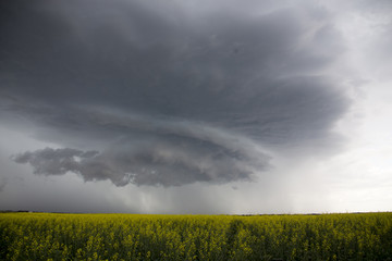 Fototapeta na wymiar Prairie Storm Clouds