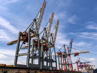 Fototapeta na wymiar Container Cranes
