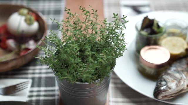 Slide from Mozarella Entree to Fish