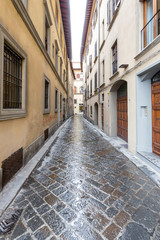 Fototapeta na wymiar A Narrow Backstreet in Florence