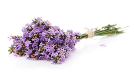 Bouquet of lavender flowers isolated on white background