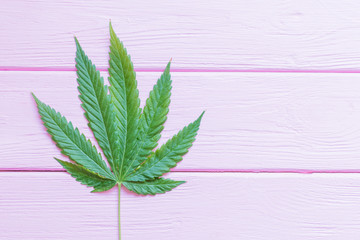 A sheet of marijuana.