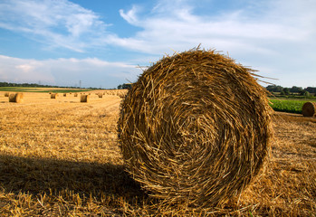 Strohballen im Burgenland