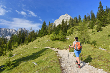 Rear view of a female hiker walking on a trail in the Alps near Ehrwald, Tyrol, Austria. Landscape with grass, trees, rocky mountains and blue sky.