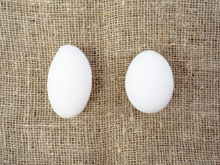 Chicken egg of unusual shape on canvas.