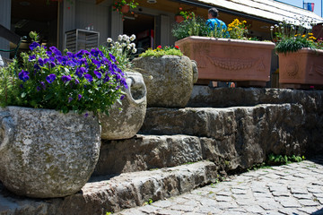 Flower Pots on Stairs