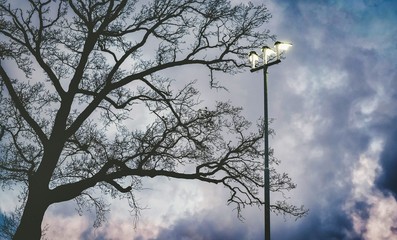 Lamp post against cloudy dutch sky in autumn