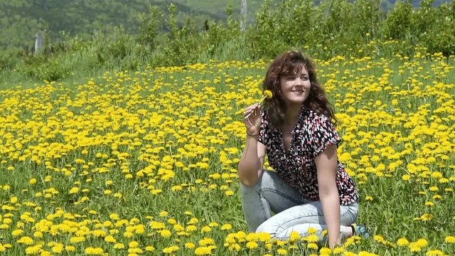 One young woman sitting in middle of flower meadow, hill field, many yellow dandelion flowers in summer, holding, smelling wildflower at Charlevoix, Quebec, Canada