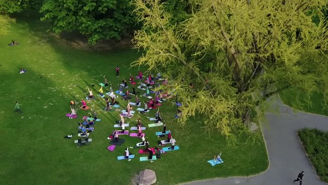 Yoga Lesson at Park