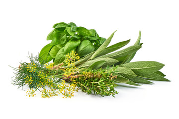 Bunch of sage, thyme, dill and basil, isolated on white background.