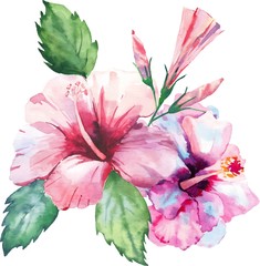 Watercolor bright green herbal tropical wonderful hawaii floral summer pattern tropic pink red violet blue flowers hibiscus vector illustration. Perfect for greetings card, textile, wallpapers
