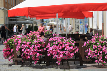 Restauracja z pięknymi kwiatami na zewnątrz w centrum miasta Opole.