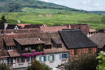 Fototapeta na wymiar Vineyards across the rooftops of the Alsace village of Hunawihr, France