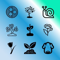 Vector icon set about gardening with 9 icons related to outdoor, up, colorful, summer, slimy, diagram, dinner, chicken, banner and sign