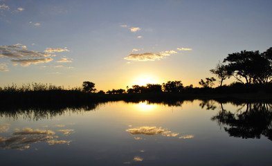 Botswana: Sunset in the Okavango-Delta-swamps.