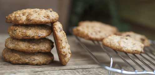 Homemade oatmeal cookies on wooden board. Sweet dessert snack, Healthy Food. Copy space. Banner.