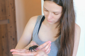 Obraz premium Young woman holding a male of Gromphadorhina portentosa the hissing cockroach, one of the largest species of Madagascar cockroach.