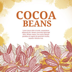 Fototapeta premium Cacao beans plant, Vector exotic cacao plants