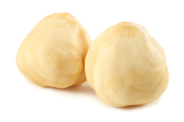 two hazelnuts isolated on a white background. macro